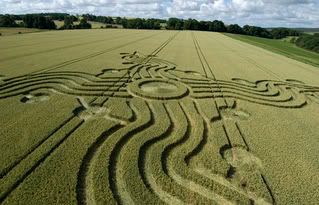 crop circles wiltshire Pictures, Images and Photos