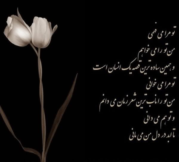 love-quotes-in-farsi-quotesgram