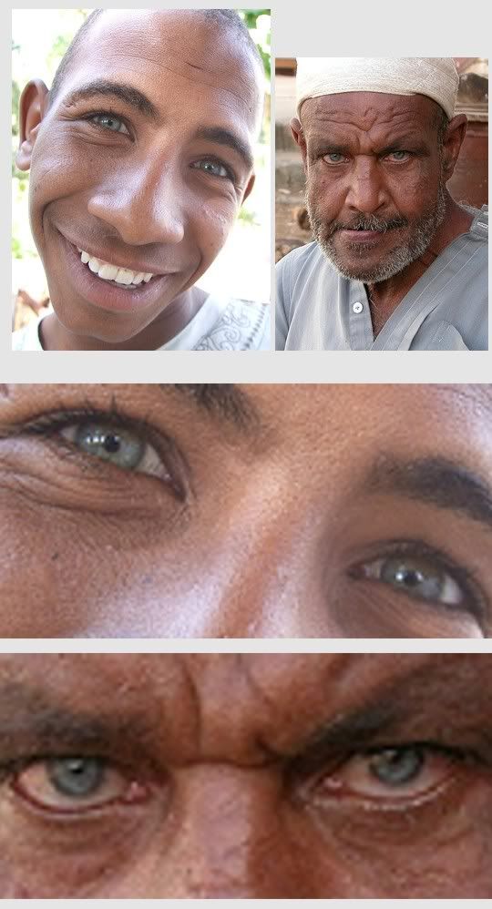 nubianswithblueeyes.jpg