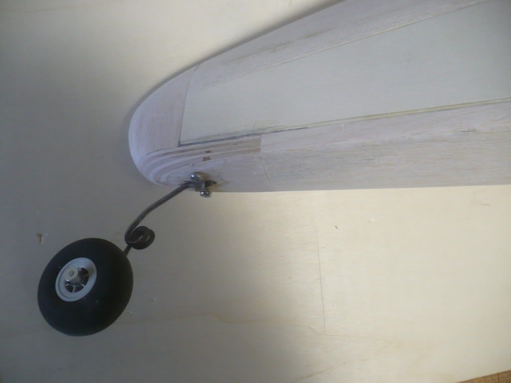P1020490.jpg