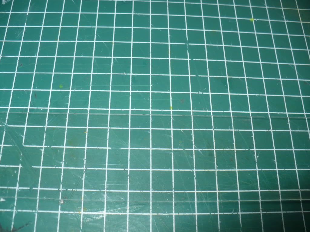 P1020077.jpg