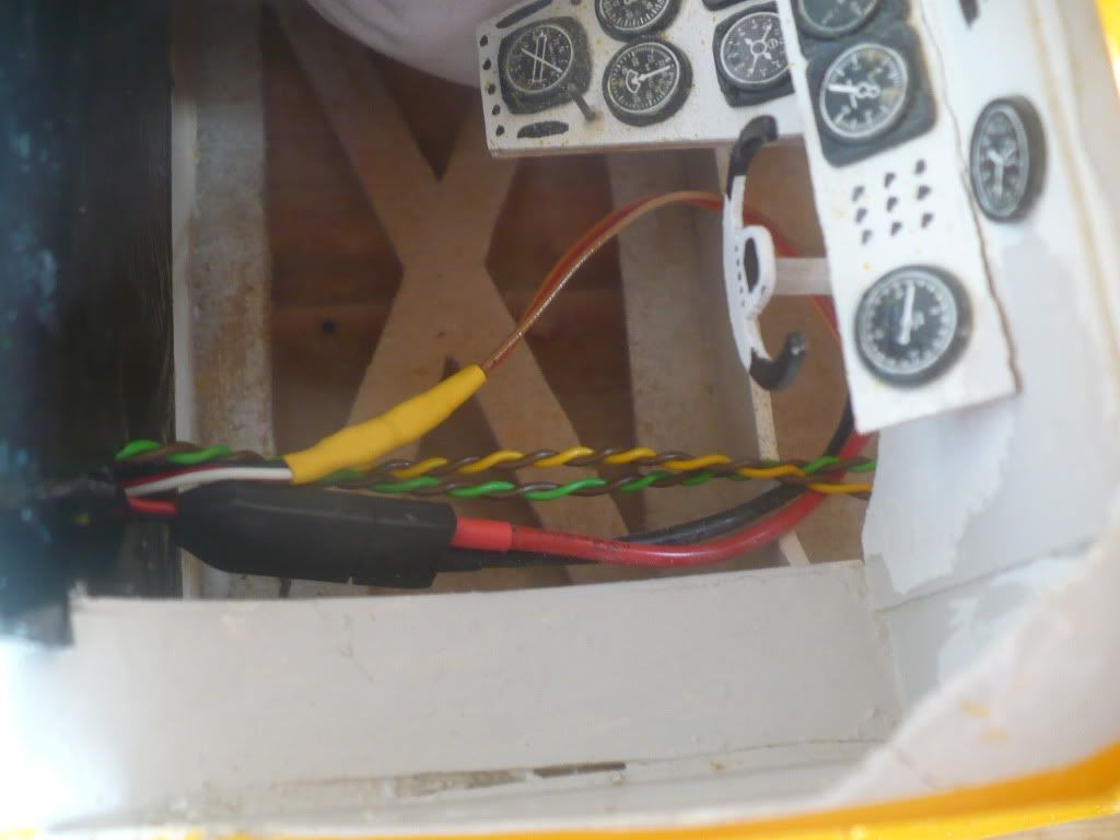 P1020103.jpg
