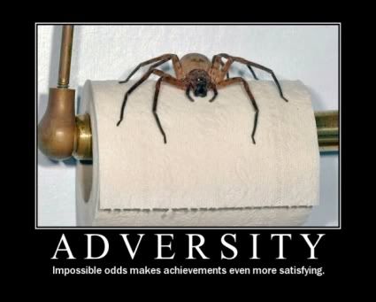 adversity01.jpg