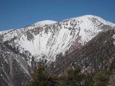 baldy21211008.jpg