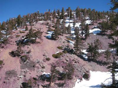 baldy21211010.jpg