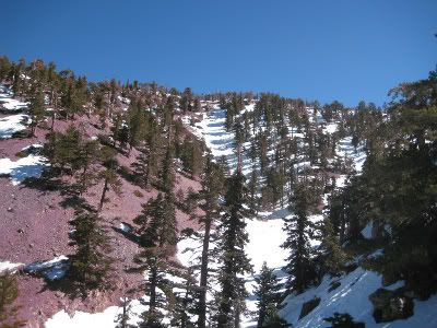 baldy21211011.jpg