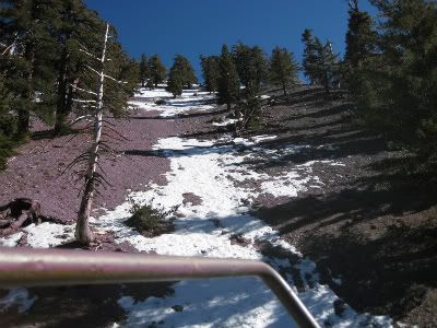 baldy21211024.jpg