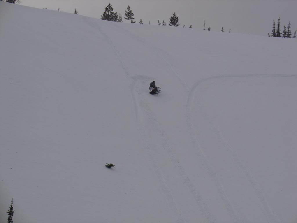 DSC04754.jpg