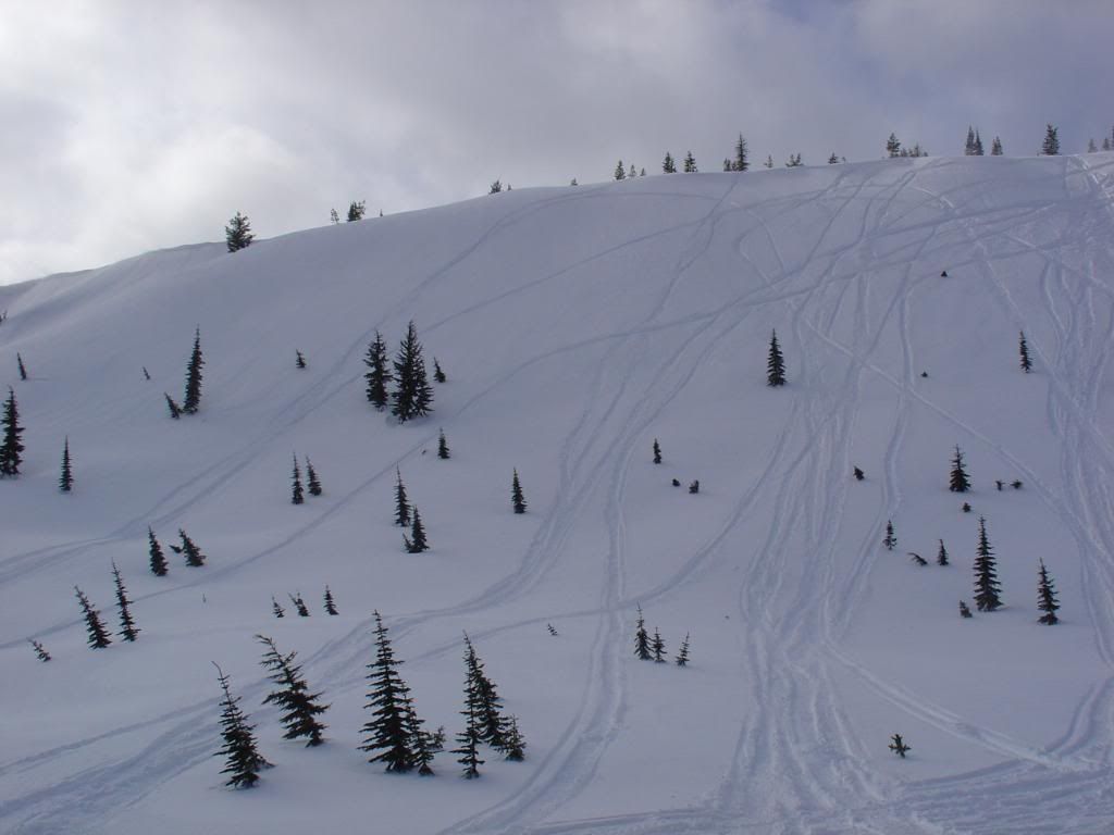 DSC04780.jpg