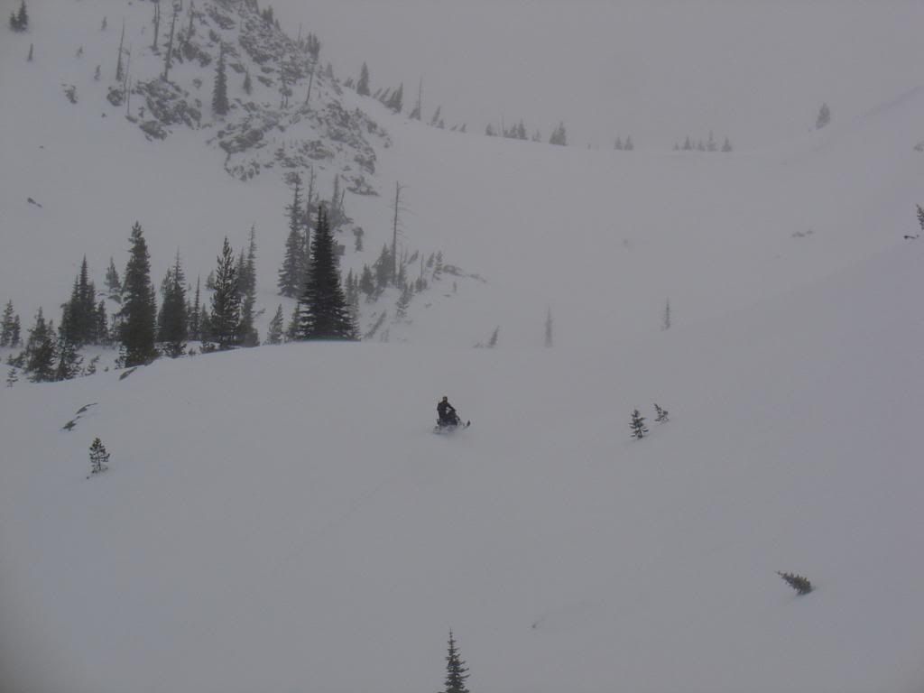 DSC04785.jpg