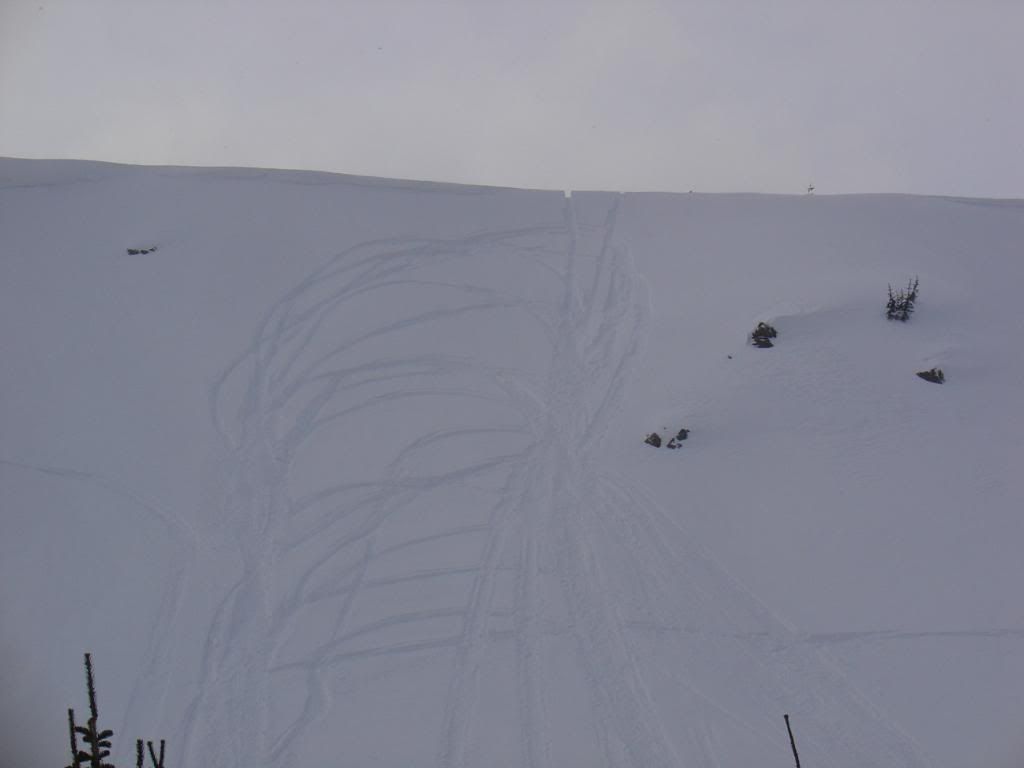 DSC04795.jpg