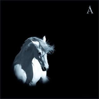 Аквариум - Лошадь Белая(2008)