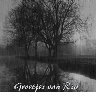 regendag