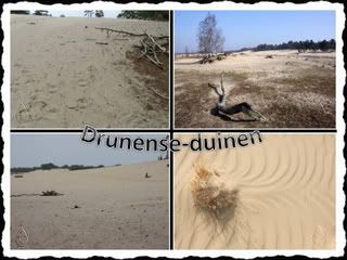 Drunense-duinen