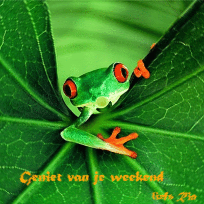 Geniet van je weekend