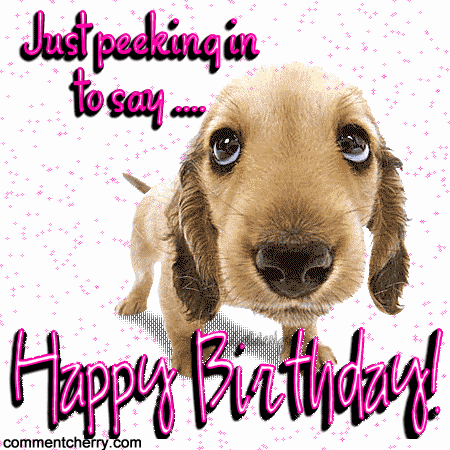 funny birthday dog pictures