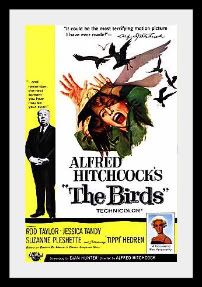 The Birds ( Hitchcock) Pictures, Images and Photos