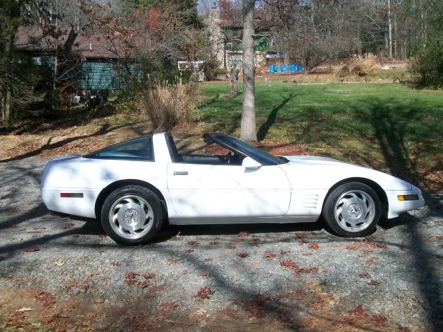 corvette015.jpg