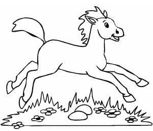 horse coloring page Pictures, Images and Photos