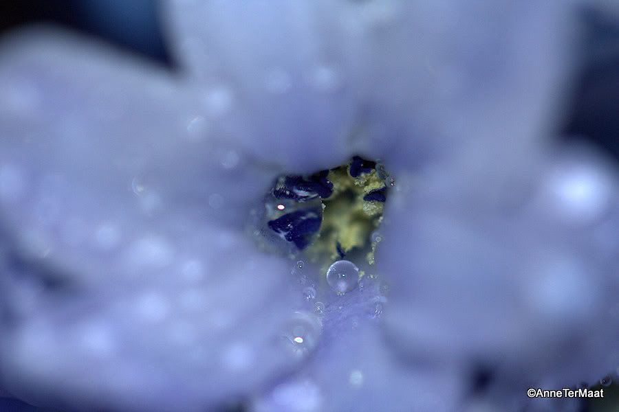 Fotografie