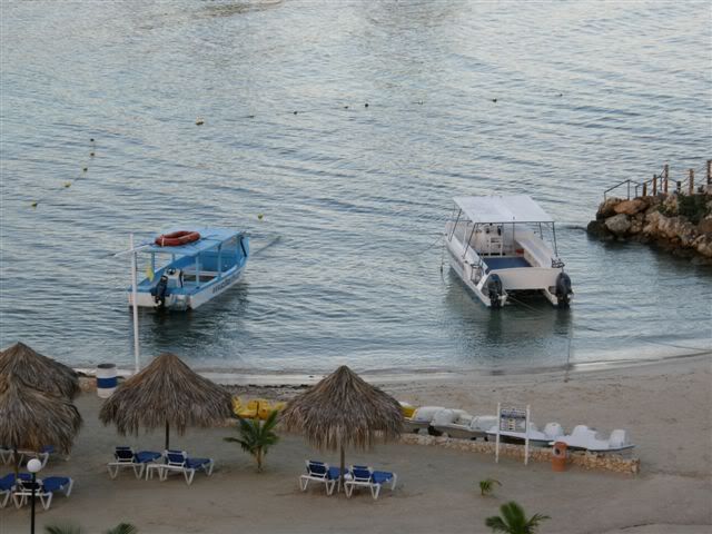 P1110135.jpg