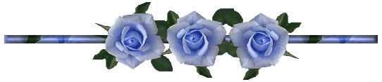 Blue rose Pictures, Images and Photos