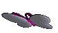 cute butterflly