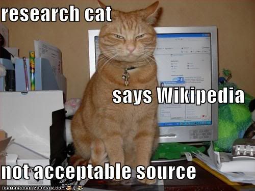 research-cat-lolcat1.jpg
