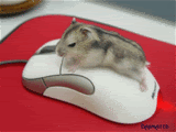 mouse gif photo: Humping Mouse Mouse_E_Mouse1.gif