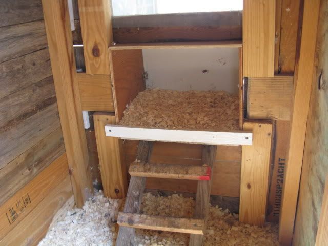 David Project: Access Roll around chicken coop plans