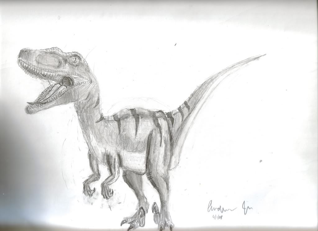 raptor.jpg