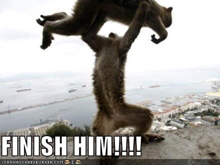 funny-pictures-mortal-kombat-monkey.jpg