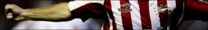 banner_libertadores11.jpg