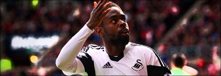 foto_swans2.jpg