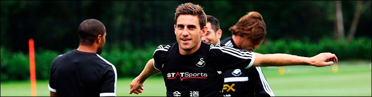 foto_swans4.jpg