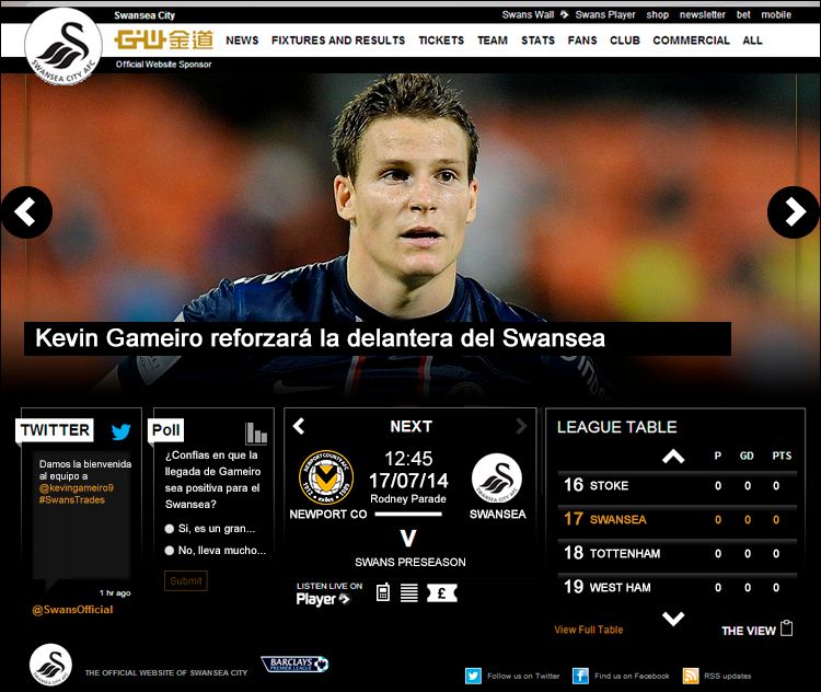 swans_news5.jpg