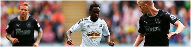 swansprevia4-1.jpg