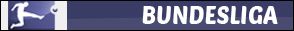 vi_bundesliga.jpg