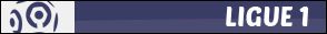 vi_ligue1.jpg