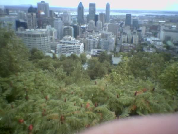Montreal, Downtown, Mount Royal