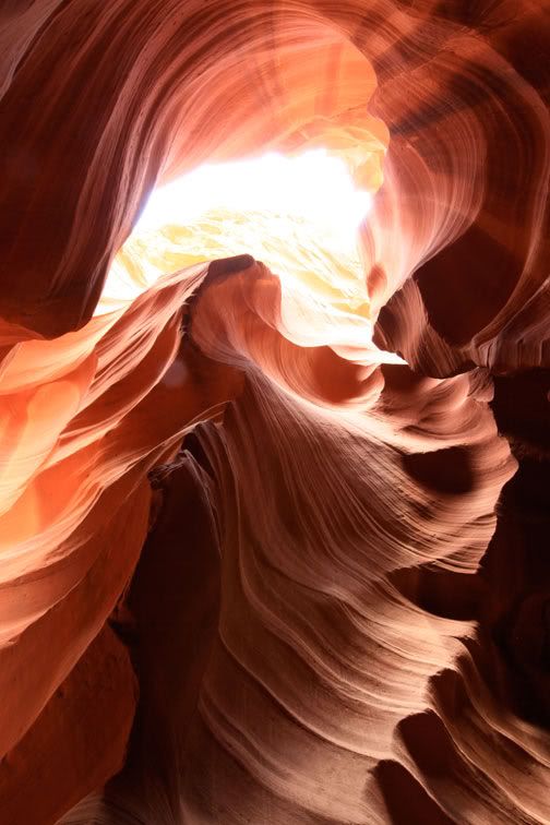 IMAGE: http://i272.photobucket.com/albums/jj183/justinhang/IMG_5051.jpg