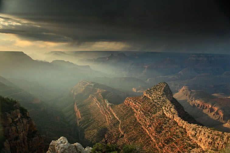 IMAGE: http://i272.photobucket.com/albums/jj183/justinhang/IMG_5477.jpg