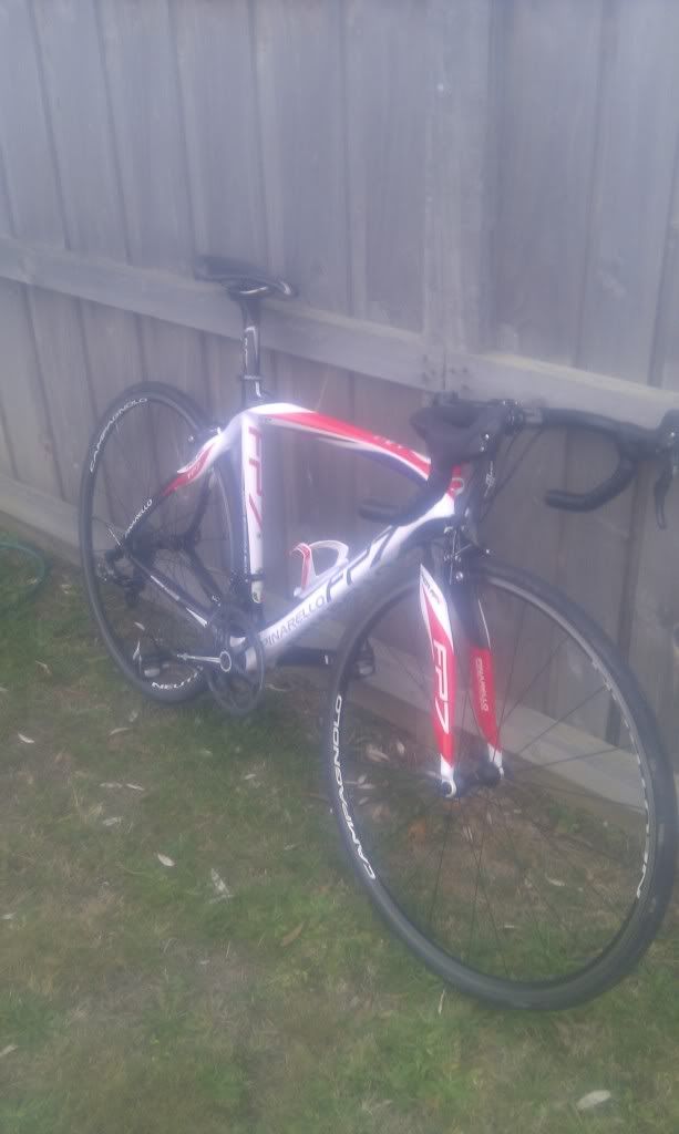 pinarello fp7 for sale