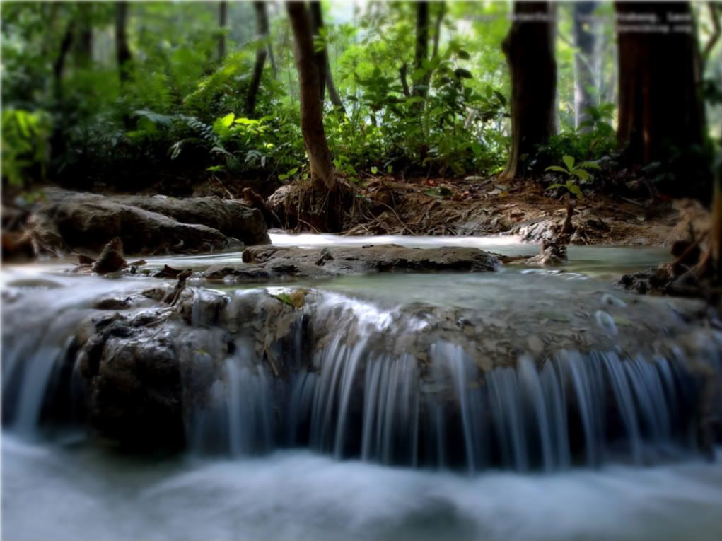 waterfall desktop wallpaper. waterfall desktop wallpaper. Waterfall Soft Wallpaper; Waterfall Soft Wallpaper. deconai. Aug 30, 09:53 AM. A few years ago in college,