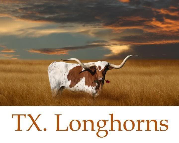 texas longhorns mascot. Texaslonghornsreallifemascot