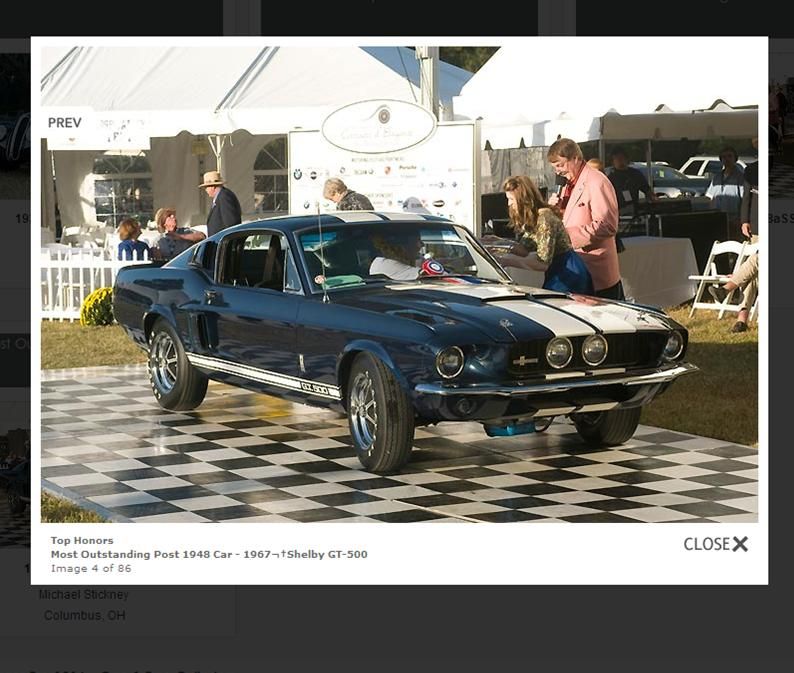 Shelby1_zpsa75d7d94.jpg