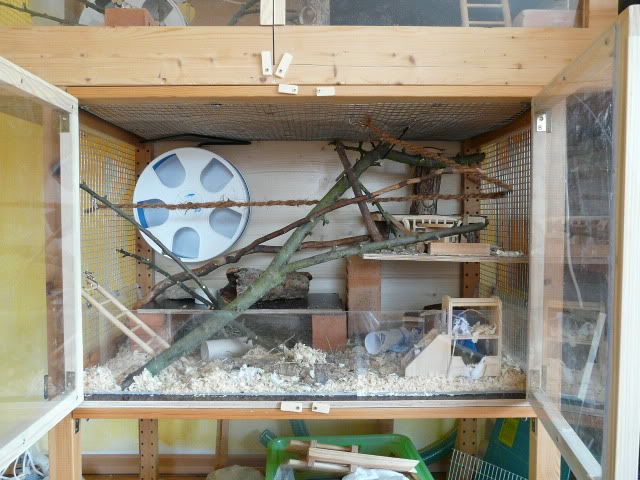 188obererBau45.jpg