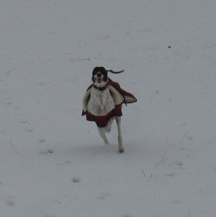 IMG_1134.jpg