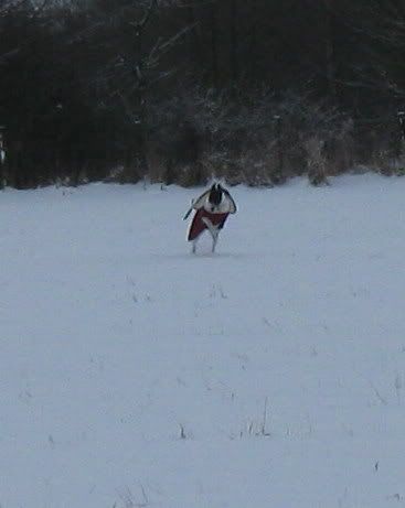 IMG_1140.jpg