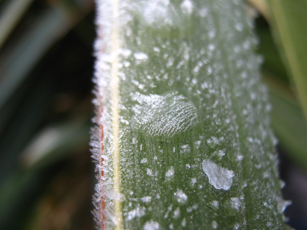 IMG_2164.jpg